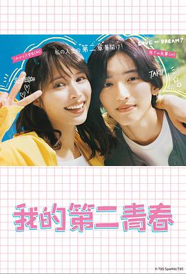 seo专业优化平台十大易速达